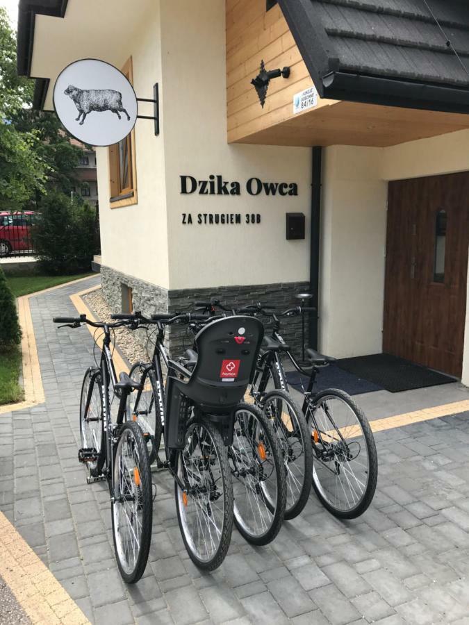 Dzika Owca Apartment