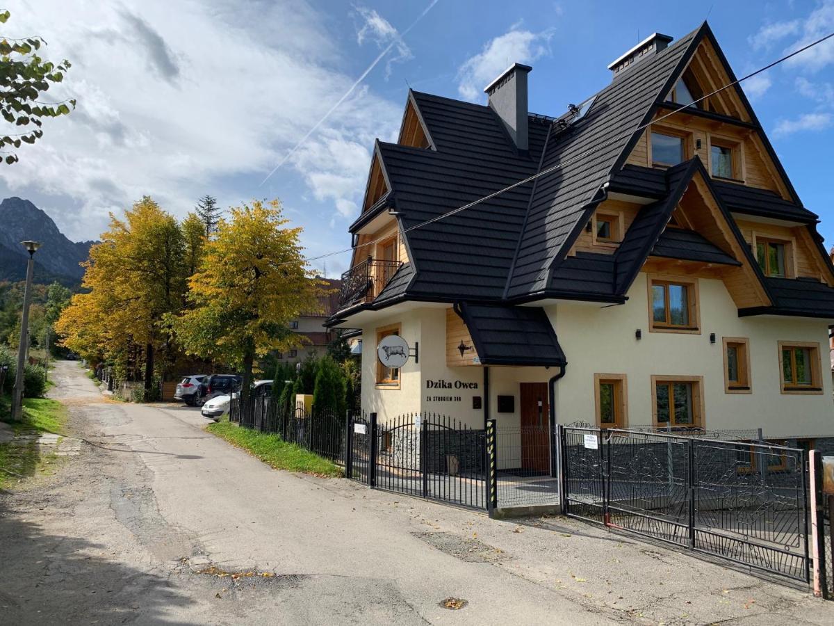 Dzika Owca Apartament